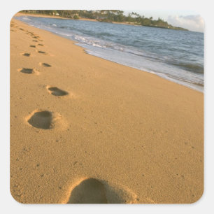 USA, Hawaii, Kauai, Kapa'a, Strand. Quadratischer Aufkleber