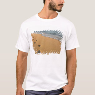 USA, Hawaii, Kauai, Kapa'a, Strand. RF) T-Shirt