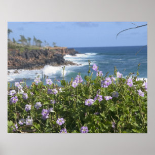 USA, Hawaii, Kauai, nahe Kapaa, Nordwesten Poster