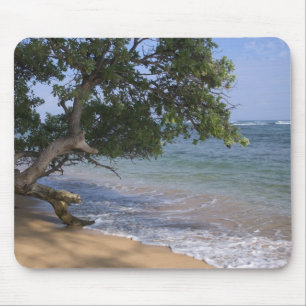 USA, Hawaii, Kauai, Strand landschaftlich. RF) Mousepad
