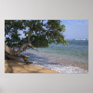 USA, Hawaii, Kauai, Strand landschaftlich. RF) Poster