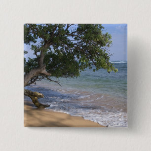 USA, Hawaii, Kauai, Strand Szene. RF) Button
