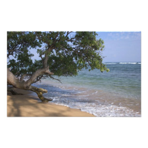 USA, Hawaii, Kauai, Strand Szene. RF) Fotodruck