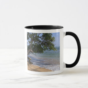USA, Hawaii, Kauai, Strand Szene. RF) Tasse