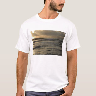 USA, Hawaii, Kauai, Südwestküste, in der Nähe von T-Shirt