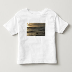 USA, Hawaii, Kauai, Südwestküste, nahe Waimea 2 Kleinkind T-shirt