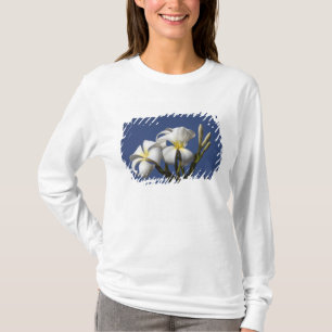 USA, Hawaii, Kauai, weiße Plumeria. T-Shirt