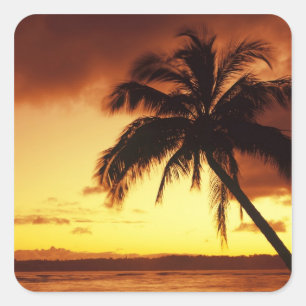 USA, Hawaii, Maui, Farbiger Sonnenuntergang in ein Quadratischer Aufkleber