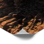 USA, Hawaii, Maui, Haleakala National Park Poster (Ecke)