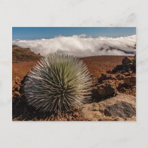 USA, Hawaii, Maui, Haleakala National Park Postkarte