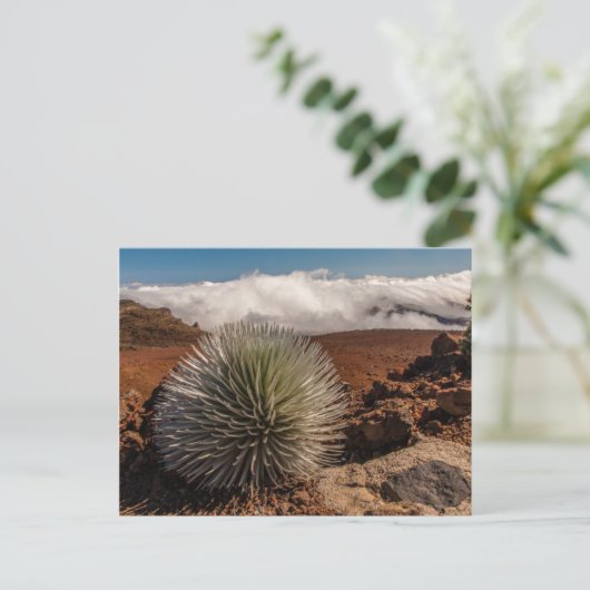 USA, Hawaii, Maui, Haleakala National Park Postkarte (Stehend Vorderseite)