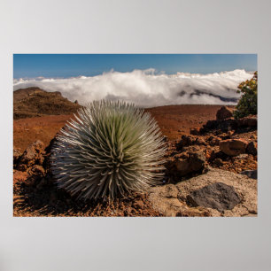 USA, Hawaii, Maui, Haleakala-Nationalpark Poster
