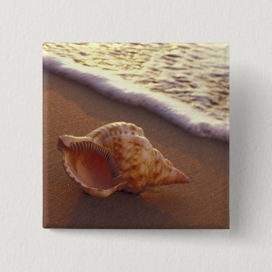 USA, Hawaii, Maui, Kihei, Abend light on Button (Vorderseite)