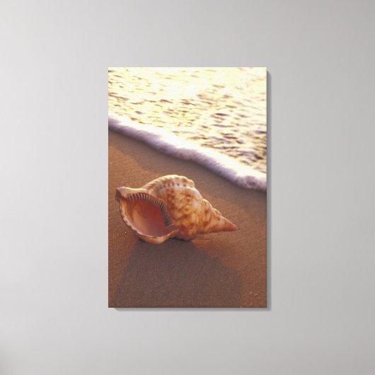 USA, Hawaii, Maui, Kihei, Abend light on Leinwanddruck (Vorderseite)