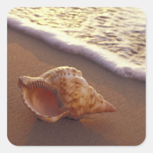 USA, Hawaii, Maui, Kihei, Abend light on Quadratischer Aufkleber