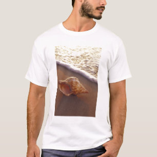 USA, Hawaii, Maui, Kihei, Abendlicht auf T-Shirt