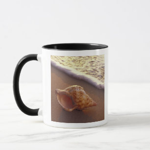 USA, Hawaii, Maui, Kihei, Abendlicht auf Tasse