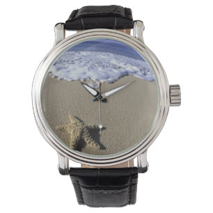 USA, Hawaii, Maui, Makena Beach, Seestern und Armbanduhr