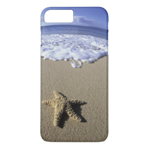USA, Hawaii, Maui, Makena Beach, Seestern und Case-Mate iPhone Hülle