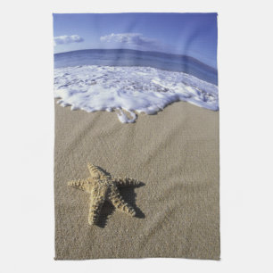 USA, Hawaii, Maui, Makena Beach, Seestern und Geschirrtuch