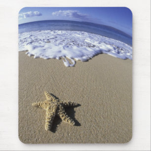 USA, Hawaii, Maui, Makena Beach, Seestern und Mousepad