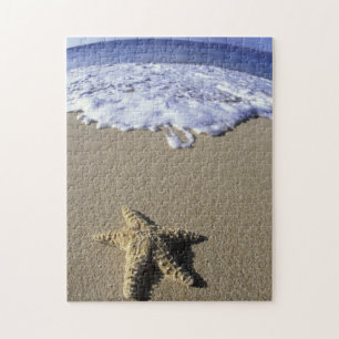 USA, Hawaii, Maui, Makena Beach, Seestern und Puzzle
