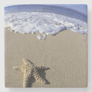 USA, Hawaii, Maui, Makena Beach, Seestern und Steinuntersetzer