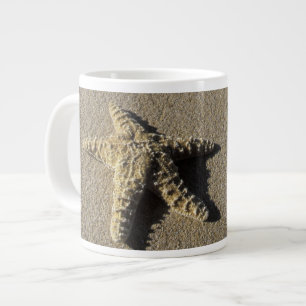 USA, Hawaii, Maui, Makena Beach, Starfish und Jumbo-Tasse