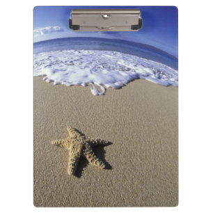 USA, Hawaii, Maui, Makena Beach, Starfish und Klemmbrett