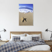 USA, Hawaii, Maui, Makena Beach, Starfish und Leinwanddruck (Insitu (Schlafzimmer))