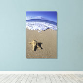 USA, Hawaii, Maui, Makena Beach, Starfish und Leinwanddruck (Insitu (Holzboden))