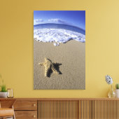 USA, Hawaii, Maui, Makena Beach, Starfish und Leinwanddruck (Insitu (Wohnzimmer))