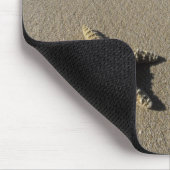 USA, Hawaii, Maui, Makena Beach, Starfish und Mousepad (Ecke)
