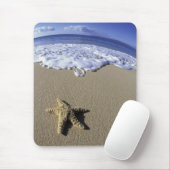 USA, Hawaii, Maui, Makena Beach, Starfish und Mousepad (Mit Mouse)