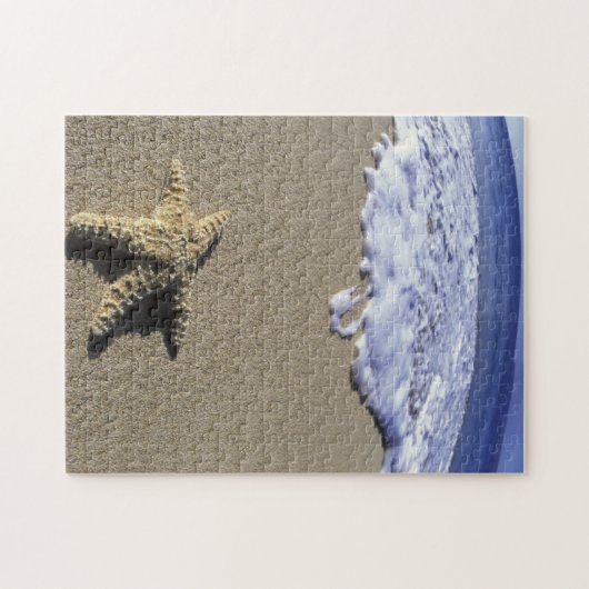 USA, Hawaii, Maui, Makena Beach, Starfish und Puzzle (Horizontal)