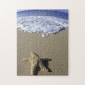 USA, Hawaii, Maui, Makena Beach, Starfish und Puzzle (Vertikal)