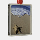 USA, Hawaii, Maui, Makena Beach, Starfish und Silbernes Ornament (Rechts)