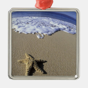 USA, Hawaii, Maui, Makena Beach, Starfish und Silbernes Ornament