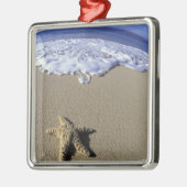 USA, Hawaii, Maui, Makena Beach, Starfish und Silbernes Ornament (Links)