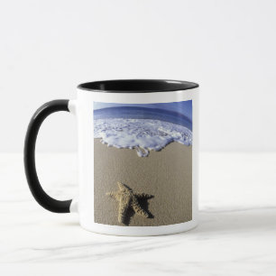 USA, Hawaii, Maui, Makena Beach, Starfish und Tasse