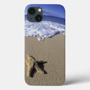 USA, Hawaii, Maui, Makena Strand, Starfish und Case-Mate iPhone Hülle
