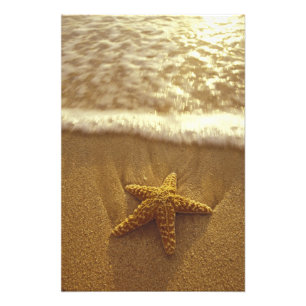 USA, Hawaii, Maui, Maui, Kihei, Seestern und Fotodruck