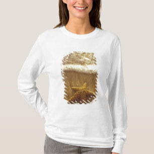 USA, Hawaii, Maui, Maui, Kihei, Seestern und T-Shirt