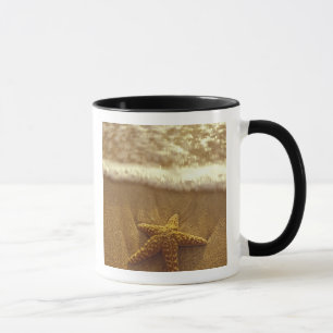 USA, Hawaii, Maui, Maui, Kihei, Seestern und Tasse