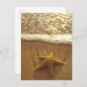 USA, Hawaii, Maui, Maui, Kihei, Starfish und Postkarte (Vorne/Hinten)