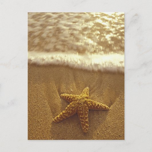 USA, Hawaii, Maui, Maui, Kihei, Starfish und Postkarte (Vorderseite)