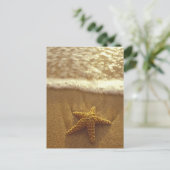 USA, Hawaii, Maui, Maui, Kihei, Starfish und Postkarte (Stehend Vorderseite)