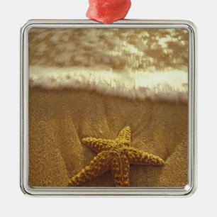 USA, Hawaii, Maui, Maui, Kihei, Starfish und Silbernes Ornament