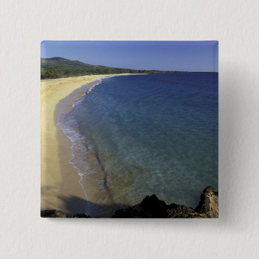 USA, Hawaii, Maui, Maui, Makena Beach, Button (Vorderseite)
