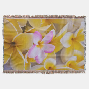 USA, Hawaii, Oahu, blühende Plumeria-Blumen 1 Decke